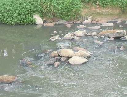 景觀水體、湖泊等生態(tài)修復(fù)方案
